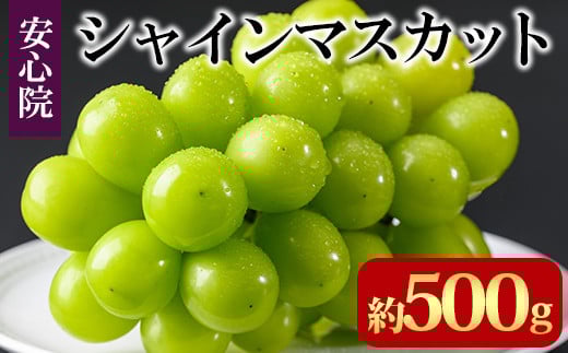 y啪FszVC}XJbg(500g)t[c ʕ  Ԃǂ S@ lC LOs\tI2026N8{菇\聄kC  zsy106300800z