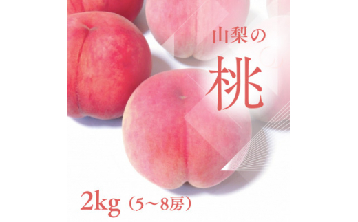 【山梨県山梨市】<2026年先行受付>山梨市産 新鮮 桃 約2kg (5〜8玉)【1305780】