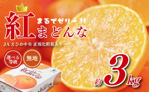紅まどんな JAえひめ中央 正規化粧箱入 等級 無地 JA 【2025年11月から
