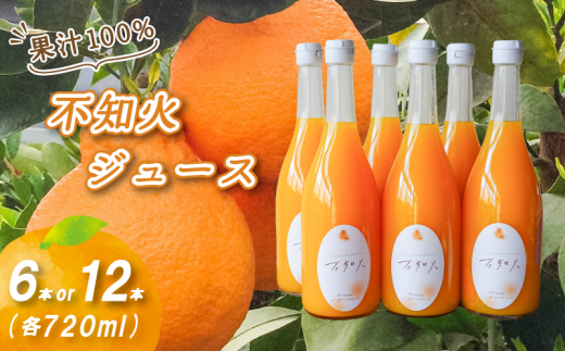 不知火ストレート果汁100％ジュース 720ml×6本/12本 | 数量選択可 みかん ミカン 蜜柑 柑橘 数量限定 愛媛県産 松山市 中島 愛媛  ふるさと納税 - 愛媛県松山市｜ふるさとチョイス - ふるさと納税サイト