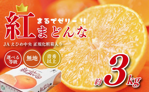 楽天市場】【ふるさと納税】桜島小みかん 3kg【 先行予約 期間限定 数量限定 令和4年12月1日まで 限定 】桜島 小みかん 小さい みかん 国産  果物 柑橘 フルーツ ハウス 栽培 果実 産地直送 鹿児島県産 九州産 鹿児島市 送料無料 世界最小 ギネスブック認定 : 鹿児島県鹿児島市