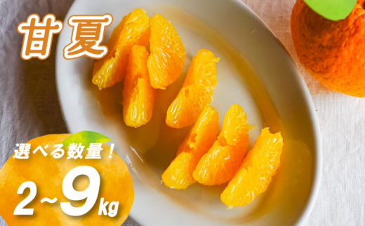 いい甘夏5kg、広島県産産地直送家庭用農薬不使用ビタミンC