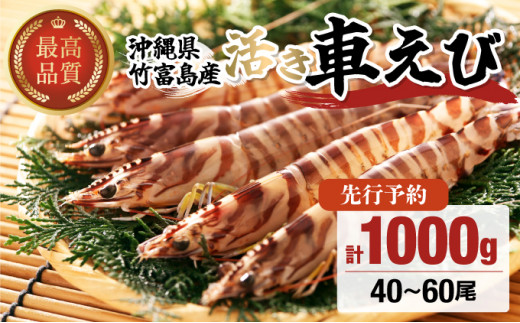 yꌧ|xzs\ |xY Ԃ 1kg:40-60