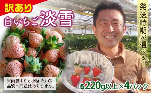 yQnxsz󂠂i QnYC`SuWv(e220gȏ×4pbN)y2026N14?331z  󂠂  W QnY  C`S W l ʕ t[c Hi F2