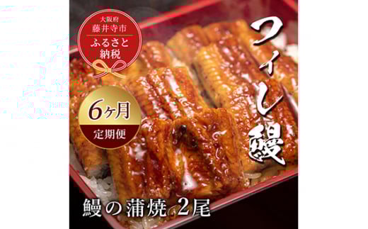 y{䎛szNo.285 yVZuzV̊ā@2i6Jցj ^ ˉV ݂Ȃ tBV uhȂ EiM { Yi