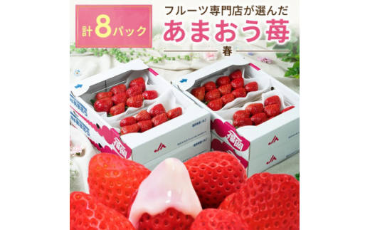 【福岡県大牟田市】<2026年発送先行受付>酸味と甘みの絶妙なバランス・春あまおう8パック(大牟田市)【1226671】