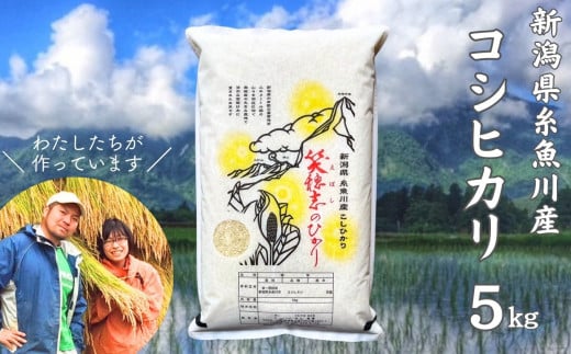 yVszXs[hyʌzߘa7NY V VYRVqJwΕu(ڂ)̂Ђx5kg No U't@[y    R Ђ  CX ӂ