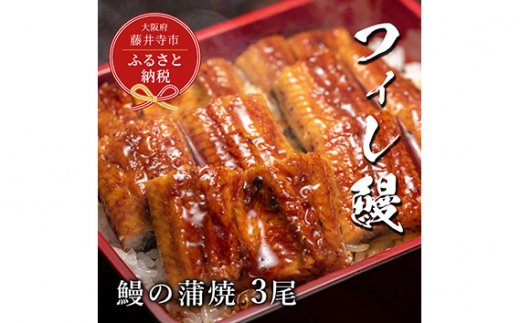 y{䎛szNo.283 yVZuzV̊ā@3 ^ ˉV ݂Ȃ tBV uhȂ EiM { Yi