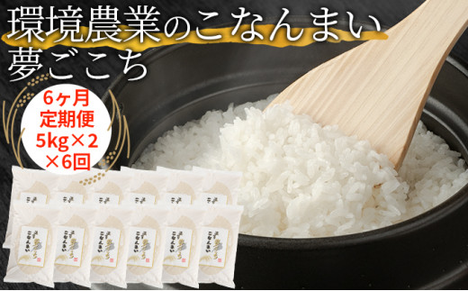 yꌧΓszy6ցz_Ƃ̂Ȃ܂ 10kg [5748-0461]