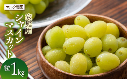 yR`߉szyߘa8N313܂Ŕz ƒp VC}XJbg  1kg@}^_