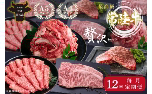 y錧kszy12ցzōA4.A5N 헤ґZbgylC   a јa Yјa [X Xe[L Y ē Ă o[xL[ BBQ A5 uh