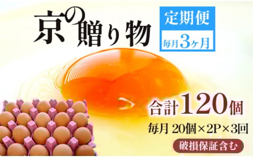 ys{ߎszyցz40 /R  v120 I MS`LL ̑蕨 20×2pbN×3