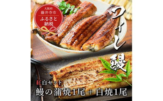 y{䎛szNo.282 yVZuzgZbg@V̊1×1 ^ ˉV ݂Ȃ tBV uhȂ EiM { Yi