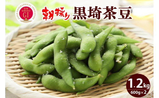 先行予約】朝採り くろさき茶豆1.2kg｜芳醇な香りと濃厚な旨み〈GI登録