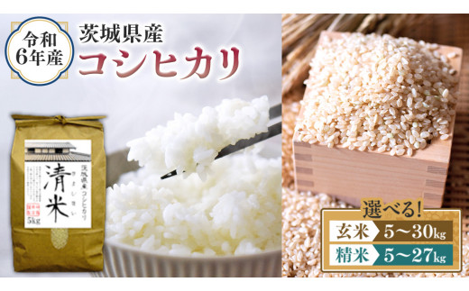 令和6年茨城県産コシヒカリ10kg 精米済み 茨城県産コシヒカリ 10kg（5kg×2袋） 【精白米】 令和6年産 米