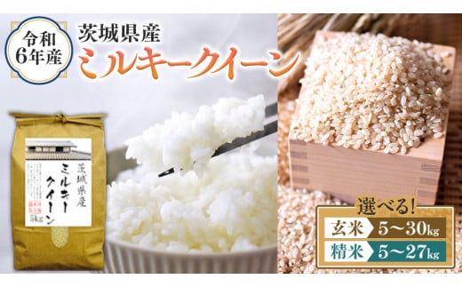 選べる内容量 ／ 令和6年産 茨城県産 ミルキークイーン （精米 5kg・10kg・27kg / 玄米 5kg・10kg・30kg） 新米 白米 米  コメ こめ 単一米 限定 茨城県産 国産 美味しい お米 おこめ おコメ - 茨城県つくばみらい市｜ふるさとチョイス - ふるさと納税サイト