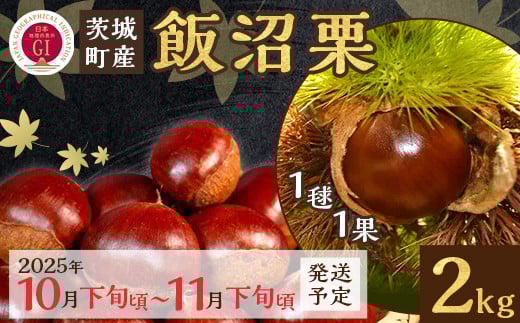 029 飯沼栗 2kg 高級 茨城県 茨城町産 ブランド くり 希少 品種