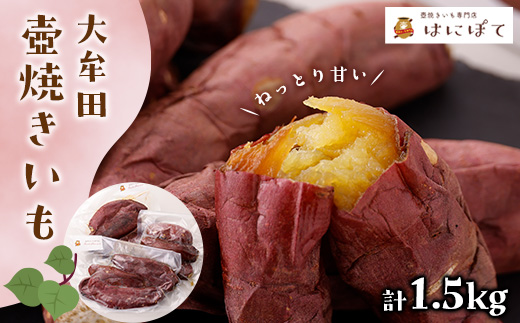 壺焼き芋用の壺 フルセット
