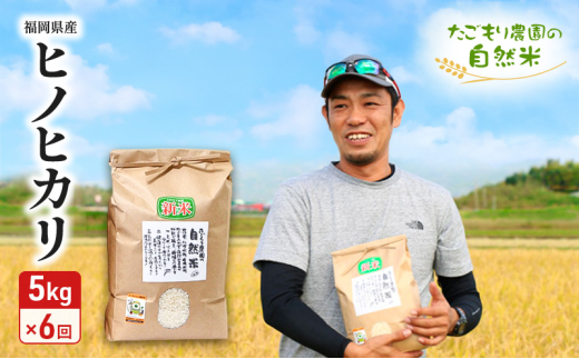 ySsz 6 _̎R qmqJ 5kg SY ͔|Ԓ _sgp  R  6 y