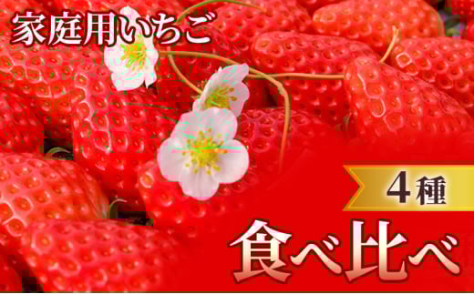 【福岡県小郡市】家庭用 いちご 4種 食べ比べ パック (1パック 6〜15玉入り×4パック) イチゴ 果物 ご家庭用 果物 デザート ※配送不可:離島