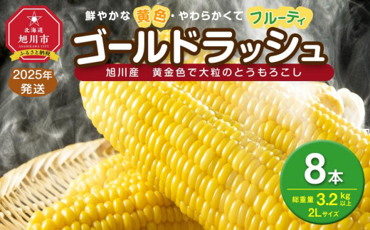 先行予約】黄金色で大粒 ゴールドラッシュ 12本 4.8kg (2025年8月下旬より発送予定) 【 人気 北海道産 糖度 生 野菜 スイートコーン  産地直送 バーベキュー BBQ コーン 旬 お取り寄せ 旭川市 北海道 送料無料 】_00408 - 北海道旭川市｜ふるさとチョイス - ふるさと納税 サイト