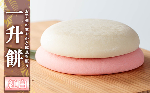 yǎsza952-C ꏡ(gZbg)y낷Ɓzǎs   w ݓ݂j 1 j̎q ̎q a xr[ Cxg ^pbN Ⓚ