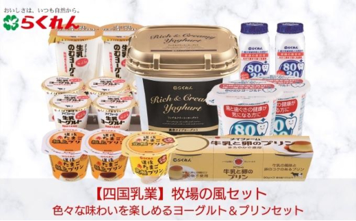 yQszq̕Zbg 13ACeS17i[5303-0001]