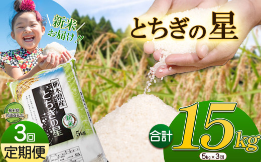 玄米 令和6年 栃木県産 コシヒカリ 25キログラム 令和6年栃木県鹿沼市産コシヒカリ 玄米25キロ