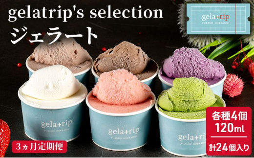 ykCxǖ쒬z3ց gelatrip's selection WF[g24BOX