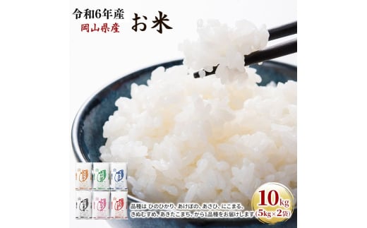 yRʖszߘa7NY  10kgi5kg×2܁j ܂ Ђ̂Ђ  ɂ܂ ڂ ʂނ A   CX Pꌴ  R uh