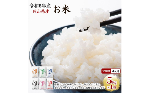 yRʖsz 4 ߘa7NY  5kg×1 ܂ Ђ̂Ђ  ɂ܂ ڂ ʂނ A   CX Pꌴ  R uh