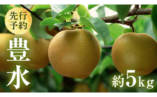 y錧vszy 2026N8{Jn z 錧Y  L i 5kg j 10`14   Ȃ a { ʕ t[c VN { Ԍ Y s\