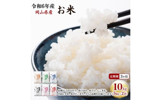 yRʖsz 3 ߘa7NY  10kgi5kg×2܁j ܂ Ђ̂Ђ  ɂ܂ ڂ ʂނ A   CX Pꌴ  R uh