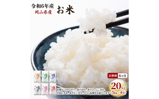 yRʖsz 6 ߘa7NY  20kgi5kg×4܁j ܂ Ђ̂Ђ  ɂ܂ ڂ ʂނ A   CX Pꌴ  R uh