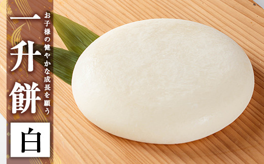 yǎsza952-A ꏡ()y낷Ɓzǎs   w ݓ݂j 1 j̎q ̎q a xr[ Cxg ^pbN Ⓚ