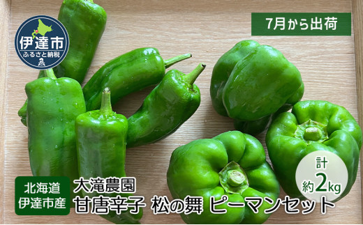先行予約】令和7年産 特Aランク米 ななつぼし 精米 10kg（5kg×2