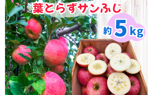 りんごさま専用ページ （りんご様専用ページ （りんご様専用ページ 