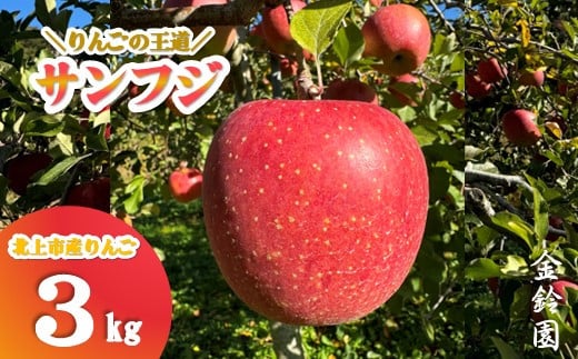 【岩手県北上市】\ 11月下旬発送予定 / 【 北上市産 りんご 】サンフジ 【厳選玉】 3キロ (約8〜12玉)  贈答用 林檎 リンゴ サンふじ 3kg 国産 東北 岩手 産地直送 フルーツ 果物 岩手県 北上市