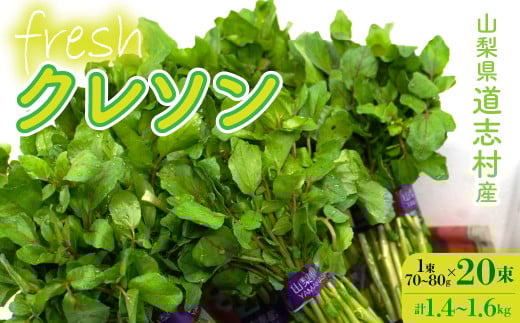 yRuzyYnzEݐVNIuYN\ 20i1400`1600gjDSAA003 yԌz