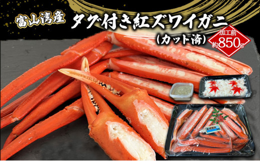 yxRsz[5313-0412]xRpYJj I ^OtgYCKj TCY  ɂJ Jbg t b{