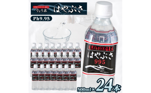 yRRszց傤͂Ԃ@995q500ml×24{rS12y4058674z