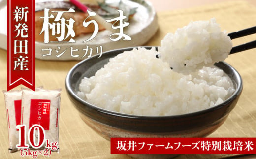 令和6年産 新潟県産 坂井ファーム 特別栽培米コシヒカリ 10kg (5kg×2袋)【 新潟 新発田 米 玄米 こしひかり 10kg 5kg  D34_02 】 - 新潟県新発田市｜ふるさとチョイス - ふるさと納税サイト