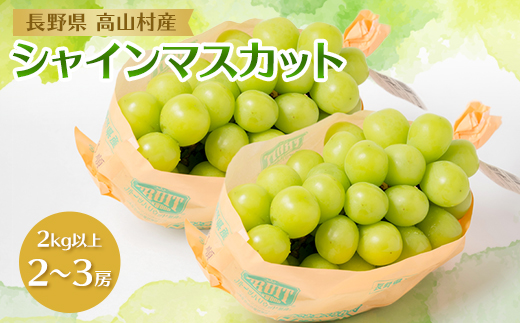 信州 高山村産 シャインマスカット2kg (離島・北海道・沖縄 配送不可