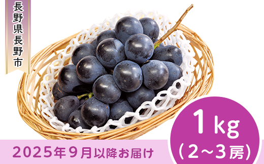 J0500 長野市産 ナガノパープル1kg【2025年9月以降出荷分】果物 くだもの フルーツ デザート 種無し 大粒 旬 長野県 長野市 -  長野県長野市｜ふるさとチョイス - ふるさと納税サイト