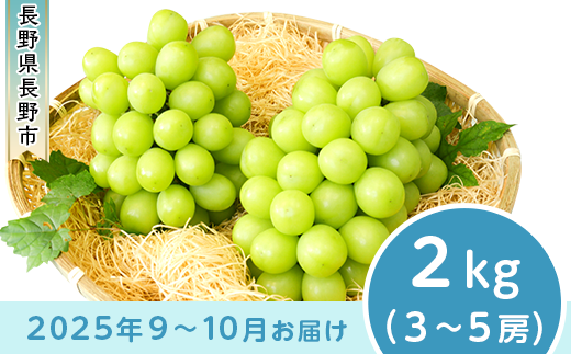 J0499 長野市産 シャインマスカット2kg【2025年9月以降出荷分 