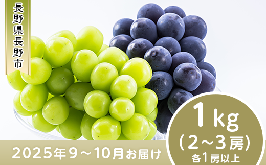 かにや★ナガノパープル10〜11房約5kg シャインマスカット600g2房 訳あり】シャインマスカット ＆ ナガノパープル 約1.5kg 3～5房