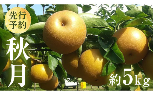 y錧vszy 2026N9{Jn z 錧Y  H i 5kg j 10`14  t[c ʕ Ȃ iV { VN Ԍ Â Y s\