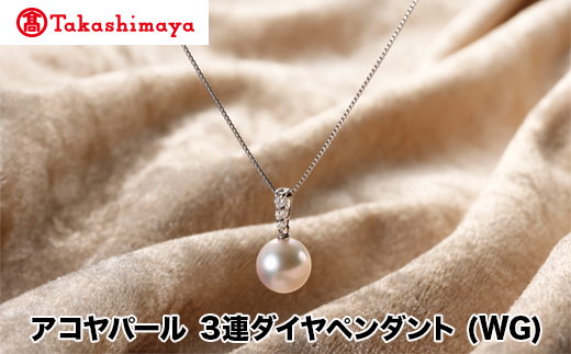 yOdHszyIizJp[@ARp[@y_g(WG)iTA-1693j