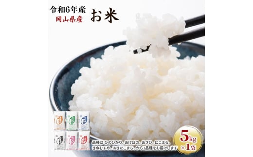 yRʖszߘa7NY  5kg×1 ܂ Ђ̂Ђ  ɂ܂ ڂ ʂނ A   CX Pꌴ  R