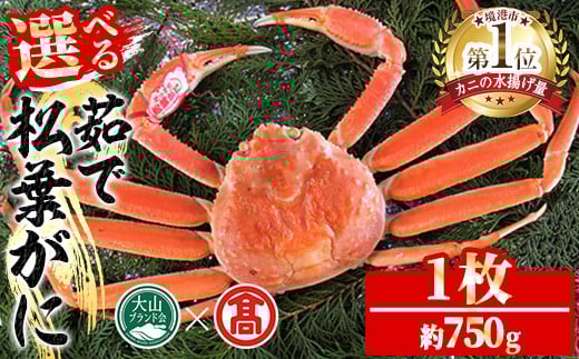 【鳥取県境港市】<2025年11月〜2026年3月上旬発送予定>茹で松葉がに(1枚・約750g)【T-DI2】【大山ブランド会】